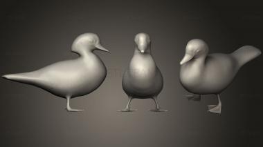 3D model Wood Duck (STL)